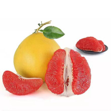 High Quality Citrus New season Grapefruit Shaddock Fresh Honey Pomelo